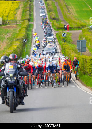 Dunsdale, UK 29 aprile 2018 Sport Est Cleveland Klondike Grand Prix un giorno di ciclo di corsa su strada ha avuto luogo oggi a copertura di un 100 miglio percorso attorno ai villaggi di East Cleveland. La gara di inizio e di fine sono nella città di Guisborough. La gara è stata neutralizzata per quanto riguarda il villaggio di Dunsdale dove la bandiera è stata interrotta e la corsa corretta è iniziato. Queste immagini mostrano i piloti subito dopo l'avvio. Credito: Pietro Giordano NE/Alamy Live News Foto Stock