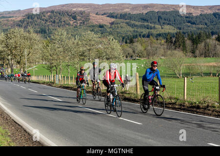Fort Augustus, Scotland, Regno Unito. Il 29 aprile, 2018. I ciclisti che partecipano all'Etape Loch Ness chiuso il ciclo stradale sportiva a seguito di un 360-grado 66-Mile / 106 km del percorso attorno a Loch Ness, Scozia, in partenza e a Inverness. Questo evento è atteso per attirare 5.600 ciclisti provenienti da tutta la Scozia e il Regno Unito. Migliaia di sterline saranno sollevate dai partecipanti per Macmillan Cancer Support, l'evento ufficiale di carità. Questa immagine mostra i partecipanti di raggiungere il punto di sosta a metà strada vicino a Fort Augustus. Cliff verde/Alamy Live News Foto Stock