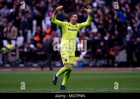 Londra, Regno Unito. 29 apr, 2018. Adrian , il portiere del West Ham United celebra il suo team primo gol segnato da Aaron Cresswell del West Ham United. Premier League, West Ham United v Manchester City presso la London Stadium, Queen Elizabeth Olympic Park a Londra domenica 29 aprile 2018. Questa immagine può essere utilizzata solo per scopi editoriali. Solo uso editoriale, è richiesta una licenza per uso commerciale. Nessun uso in scommesse, giochi o un singolo giocatore/club/league pubblicazioni . pic da Steffan Bowen/Andrew Orchard fotografia sportiva/Alamy Live news Credito: Andrew Orchard fotografia sportiva/Alamy Live Foto Stock