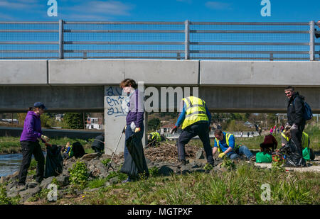 Edimburgo, Regno Unito. 29th Apr 2018. Water of Leith Conservation Trust Clean up evento; Volontarii della comunità di geocaching della Scozia hanno trascorso diverse ore in un pomeriggio soleggiato di eliminazione delle disordine e disinfestazione dell'Himalayan Balsam, una specie non nativa, da una sezione dell'acqua della riva del fiume Leith oggi. Si tratta di un evento annuale, organizzato dal Water of Leith Conservation Trust. La gente che sara fuori il balsamo invasivo non-nativo di Himalayan, il glandulifera Impatiens Foto Stock