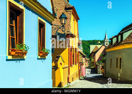 Famoso lastricato in pietra vecchie strade con case colorate in Sighisoara fortezza, Transilvania, Romania, Europa Foto Stock