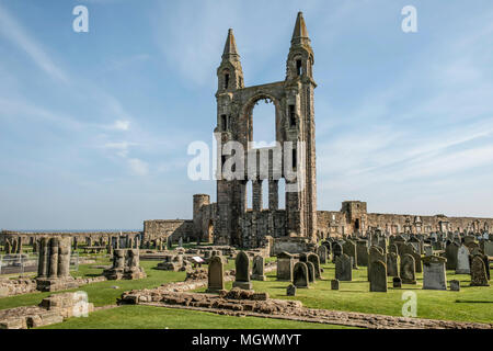 ST Andrews, Scozia-9 Aprile 2015: St Andrews Cathedral, St Andrews Fife in Scozia Foto Stock