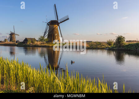 Tramonto sul mulino a vento si riflette nel canale Kinderdijk Molenwaard South Holland Olanda Europa Foto Stock