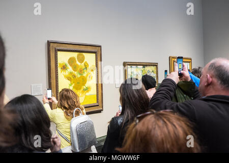 Fotografare,mobile,fotocamera,telefono,,Vincent Van Gogh,Girasoli,Pittura,Galleria Nazionale,Trafalgar Square,Londra,l'Inghilterra,Gran Bretagna,GB,U.K.,UK, Foto Stock