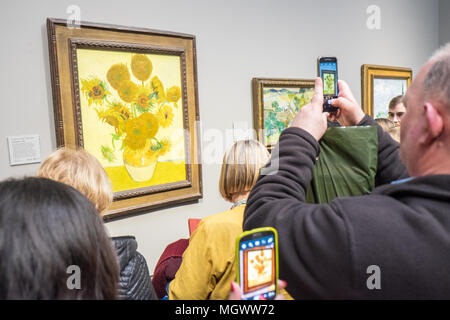 Fotografare,mobile,fotocamera,telefono,,Vincent Van Gogh,Girasoli,Pittura,Galleria Nazionale,Trafalgar Square,Londra,l'Inghilterra,Gran Bretagna,GB,U.K.,UK, Foto Stock