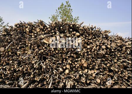 Impianto per lo sfruttamento della biomassa (legno rifiuti) per produrre energia elettrica e acqua calda per il riscaldamento urbano e agglomerati in forma di pellets (combustibile ecologico), Abbiategrasso, Milano, Italia Foto Stock