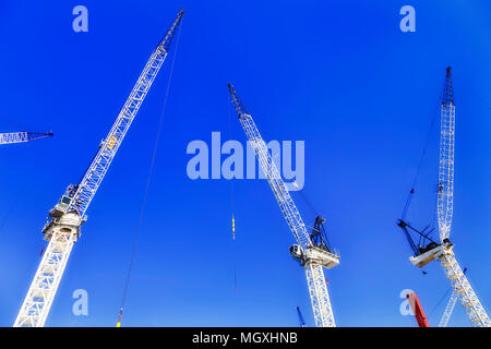 Costruzione tradizionale economia con molte gru edili in cantiere in Australia contro il cielo blu e chiaro nella crescita forte condizione di mercato Foto Stock