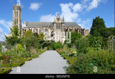 Giardino botanico contro Saint Etienne la Cattedrale di Limoges, Francia Foto Stock