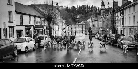 David Davies Fox Hounds Foto Stock