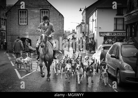 David Davies Fox Hounds Foto Stock