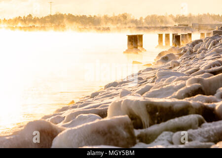 Stagliano bitte in misty,mare frozen,Hernesaarenranta,a Helsinki, Finlandia, Europa Foto Stock