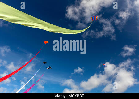 5 aquiloni volare alto in un estate blu del cielo di giorno Foto Stock