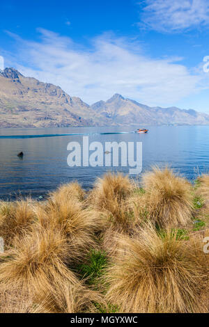 Vista del picco di Cecil sul lago Wakatipu con red tussock grass in riva al lago shore Queenstown Isola del Sud della Nuova Zelanda Foto Stock