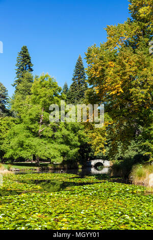 Lago ornamentale e ponte nei giardini botanici noti come Giardini di Queenstown a Queenstown Isola del Sud della Nuova Zelanda Foto Stock