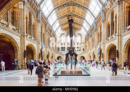 London, Regno Unito - 5 giugno 2015: all'interno della sala principale del British Museum, il turista a godere le esposizioni compresi scheletri di grandi dimensioni. Foto Stock