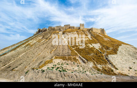 Cittadella sulla collina di Aleppo, Siria Foto Stock