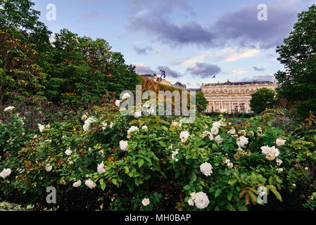 Palazzo Reale con giardino fiorito a Parigi Foto Stock