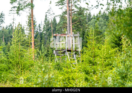 In legno antico torre di caccia in una foresta in estate circondato da pini tree tops Foto Stock