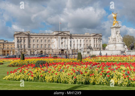 Letti colorato di giallo e rosso dei fiori sbocciano nella parte anteriore del Buckingham Palace in una bella giornata di primavera. Foto Stock