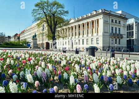 Letti di fiori con fiori colorati di fronte alla biblioteca pubblica edificio in primavera a Poznan Foto Stock