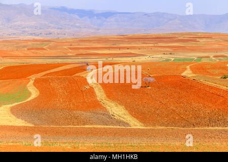 Drammatico paesaggio bello della montagna con campi terrassed durante la primavera, Lesotho, Sud Africa Foto Stock