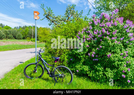 Fiume Vistola pista ciclabile, Polonia - Apr 28, 2018: Mountain bike parcheggio sulla strada vicino a villaggio Alwernia durante la primavera giornata di sole. In bicicletta lungo la corsia Vi Foto Stock