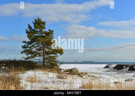 Molla in Finlandia. Helsinki, Liuskasaari island Foto Stock