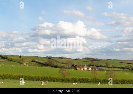 Un'immagine, presa su di una serata primaverile, dei terreni agricoli e cottage tra Loddington e Launde, Leicestershire, England, Regno Unito Foto Stock