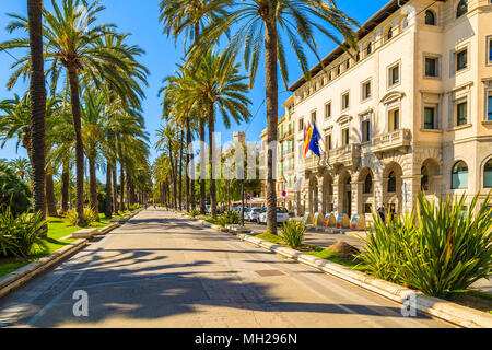 Isola di Maiorca, SPAGNA - Apr 13, 2013: Alley con palme ed edifici storici nel centro storico di Palma di Maiorca, la capitale dell'isola, molto laborato Foto Stock