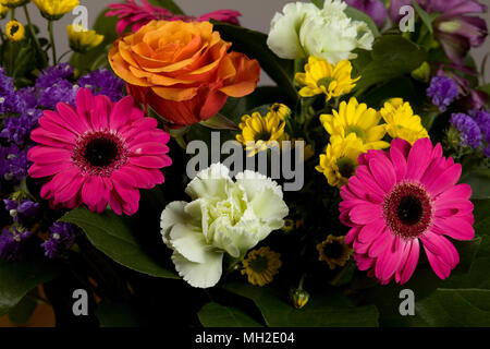 In prossimità di una varietà di fiori Foto Stock