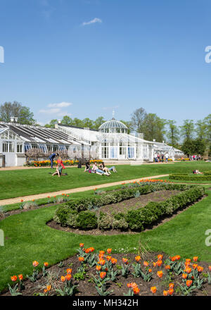 Il conservatorio ‌in Chiswick House Gardens, Burlington Lane, Chiswick, London Borough di Hounslow, Greater London, England, Regno Unito Foto Stock