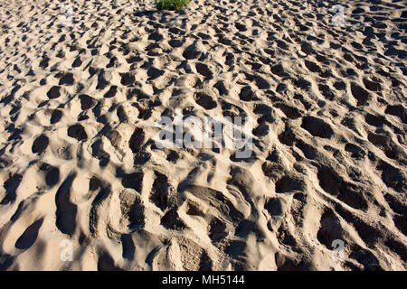 Vista panoramica delle impronte sulla spiaggia vicino a dune di sabbia in spiaggia del Faro in Bunbury Western Australia su una fine mattinata estiva creano modelli. Foto Stock