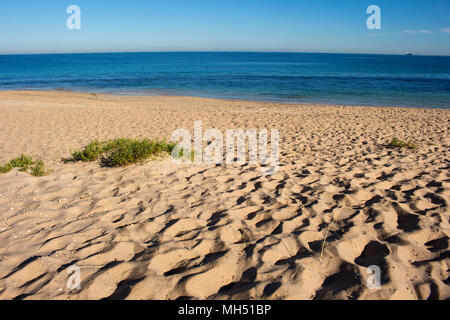 Vista panoramica delle impronte sulla spiaggia vicino a dune di sabbia in spiaggia del Faro in Bunbury Western Australia su una fine mattinata estiva creano modelli. Foto Stock