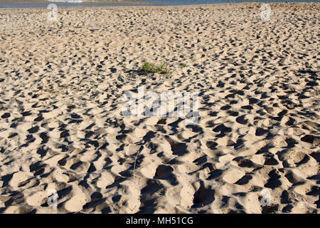 Vista panoramica delle impronte sulla spiaggia vicino a dune di sabbia in spiaggia del Faro in Bunbury Western Australia su una fine mattinata estiva creano modelli. Foto Stock