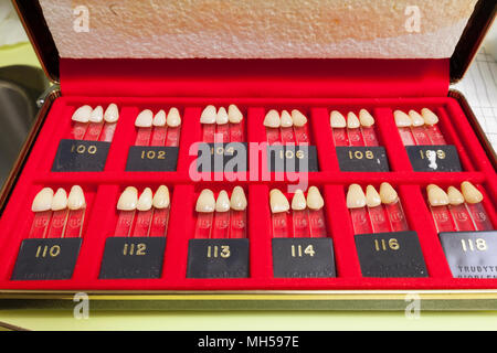 Un set di selettore di miscela di denti finti fabbricati da Trubyte Bioblend per la selezione di un paziente denti falsi colori. Foto Stock