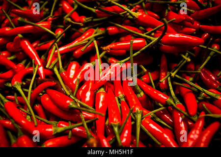 Pile di prodotti freschi peperoncino rosso per la vendita su un mercato in stallo durante la notte a lunga Bien Mercato in Hanoi, Vietnam. Foto Stock