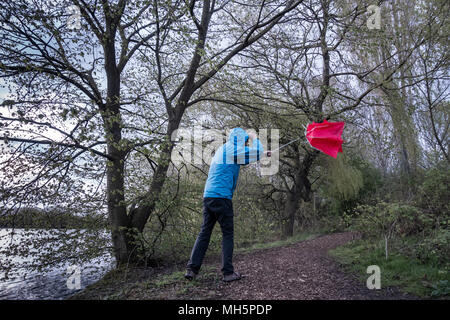 Uomo con ombrello rosso nel giorno ventoso/tempestoso. REGNO UNITO Foto Stock