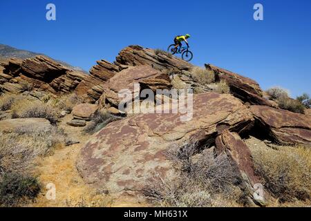 Palm Springs, California, Stati Uniti d'America. 28 apr, 2018. Mountain Biker scorre su ripide slickrocks. Questo è un vero e proprio la California del Sud Epic mountain bike giro in Santa Rosa e San Jacinto Mountains National Monument. Offrendo enormi vistas, off-campanatura stretto single track, creste, stream letti, pietre, sabbia, cactus. Questo punto-punto rotta passa una variegata gamma di alta sentieri nel deserto dal piede del versante nord delle Montagne di Santa Rosa e Agua Caliente indiano prenotazione a 4500 piedi giù per Palm Springs 29 miglia di distanza a 500 piedi. Credito: Ruaridh Stewart/ZUMA filo/Alamy Live News Foto Stock
