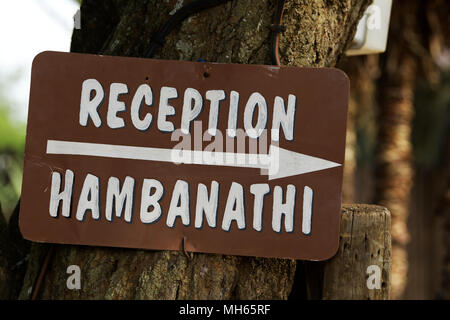 Di Eshowe, KwaZulu-Natal, Sud Africa, multi lingua segno di ricezione, visitatori diretti, Shakaland, tema culturale villaggio, Sud Africa, Zulu, inglese Foto Stock