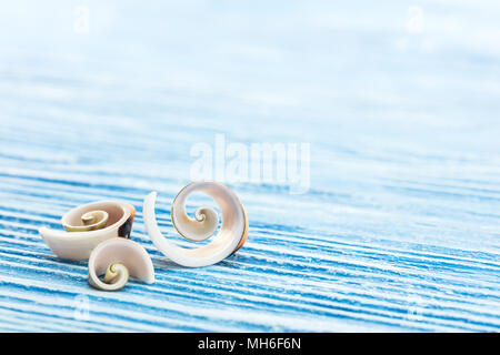 Concetto di vacanze estive con gusci a spirale in legno su sfondo blu vista macro Foto Stock