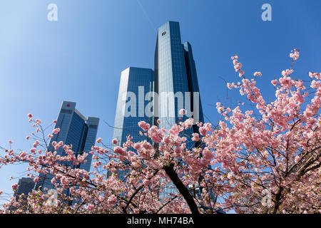 Vista dal fondo per le torri della sede della Deutsche Bank a Francoforte sul Meno, Francoforte - Germania, Aprile 07th 2018 Foto Stock