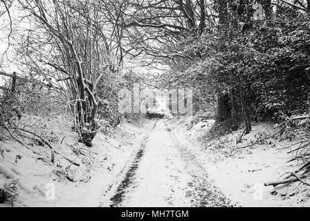 Knapp Lane ricoperta di neve Medstead, Alton, HAMPSHIRE, Regno Unito. Foto Stock