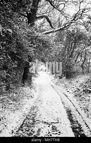 Knapp Lane ricoperta di neve Medstead, Alton, HAMPSHIRE, Regno Unito. Foto Stock