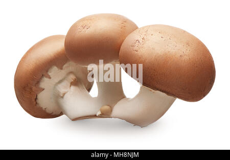 Gruppo di prodotti freschi royal champignon funghi isolati su sfondo bianco Foto Stock