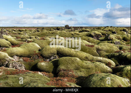 A sud dell'Islanda. Il Eldhraun vasto campo di lava è coperto con una spessa moss. Essa è stata creata nel devastante eruzione del 1784, la più grande nella storia Foto Stock