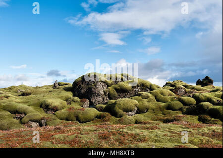 A sud dell'Islanda. Il Eldhraun vasto campo di lava è coperto con una spessa moss. Essa è stata creata nel devastante eruzione del 1784, la più grande nella storia Foto Stock