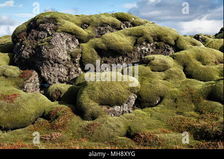 A sud dell'Islanda. Il Eldhraun vasto campo di lava è coperto con una spessa moss. Essa è stata creata nel devastante eruzione del 1784, la più grande nella storia Foto Stock