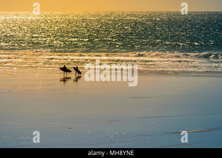 Surfers stagliano dalla luce della sera su Fistral Beach in Newquay in Cornovaglia. Foto Stock