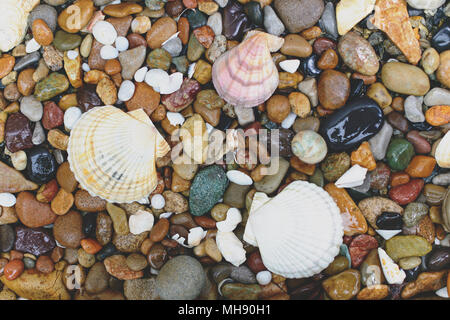 Round pietre di mare e conchiglie di mare sfondo testurizzata Foto Stock