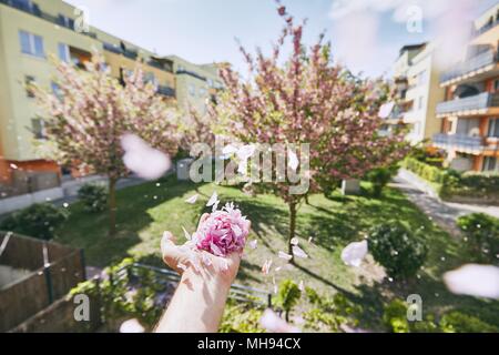 Ala petali di soffiatura da mano umana contro il giardino e il palazzo residenziale. Foto Stock